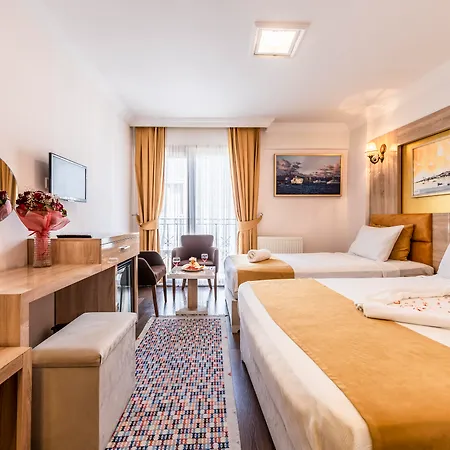 Kadirga Antik 3* Provincia di Istanbul